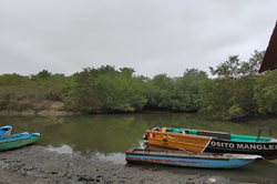 Entrance to the Tumbes Mangroves National Sanctuary