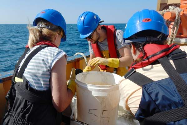 Scientists working on the boat sifting through a benthic sample