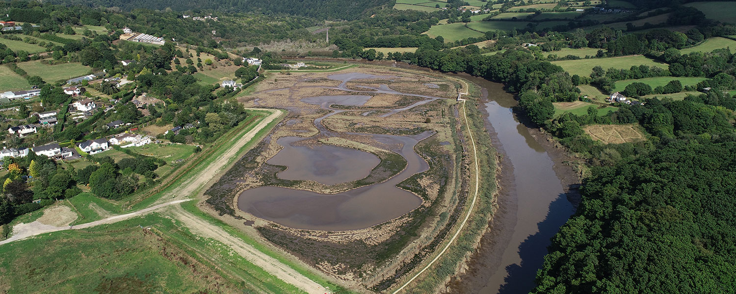 Aerial image of Calstock wetland