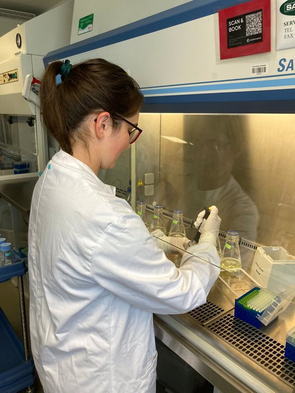Rebecca working in the laboratory