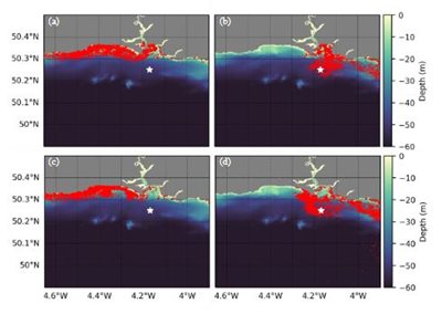 Simulated spatial distribution of buoyant seaweed fragments released from Firestone Bay, Plymouth Sound (a, b) and Rame Head (c, d) under contrasting environmental conditions (see paper for exact locations). In each case, 1000 particles are released at high water from the two sites, starting at 1215 on 1st May 2016  (a, c) and 0100 on 16th May 2016  (b, d). A further 1000 particles are released at each subsequent high water. Particle positions are plotted at 09:45 on the 8th May 2016 (a, c) and at 21:15 on 22nd May 2016  (b, d), corresponding to a time three hours after high water following the 14th release of particles. Station L4 is identified with a star.