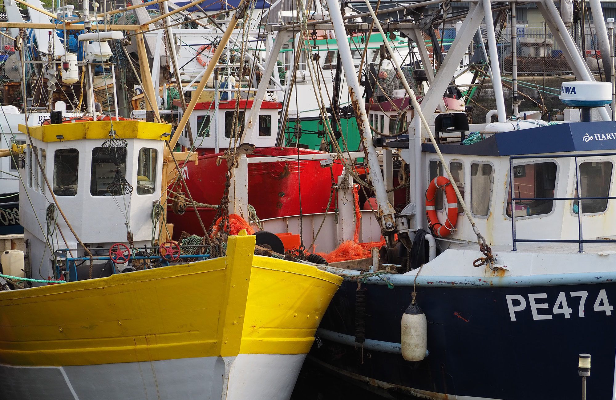 Fishing boats in Looe harbour, Cornwall, UK. Photograph: Peter Miller