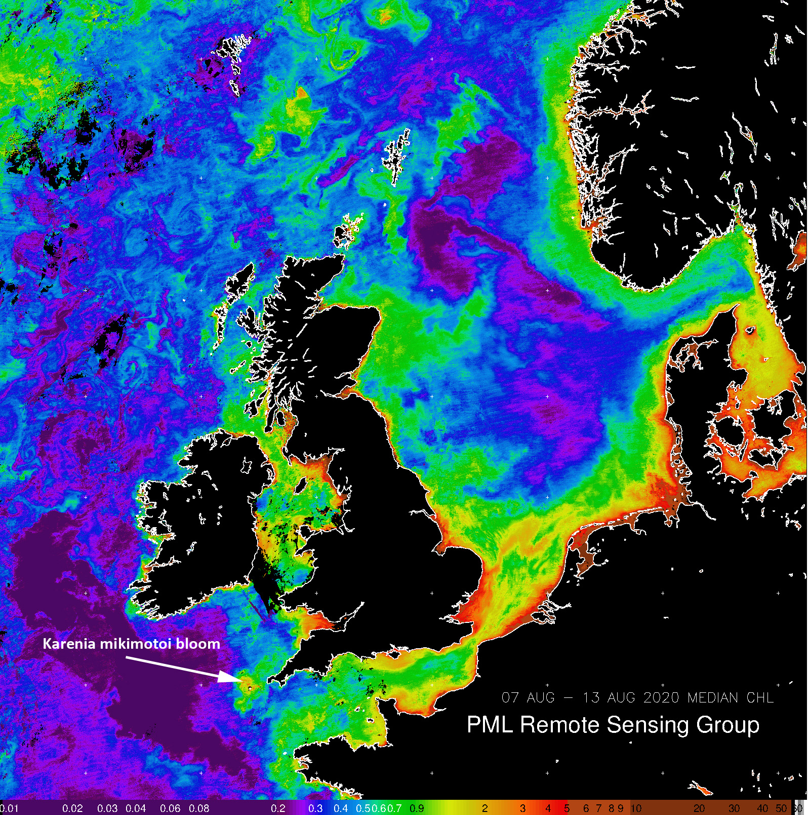 Satellite image showing Chlorophyll-a concentrations, which can be used to detect blooms. Produced by NEODAAS from data collected by the VIIRS sensor onboard a the National Oceanic and Atmospheric Administration (NOAA) SUOMI satellite.