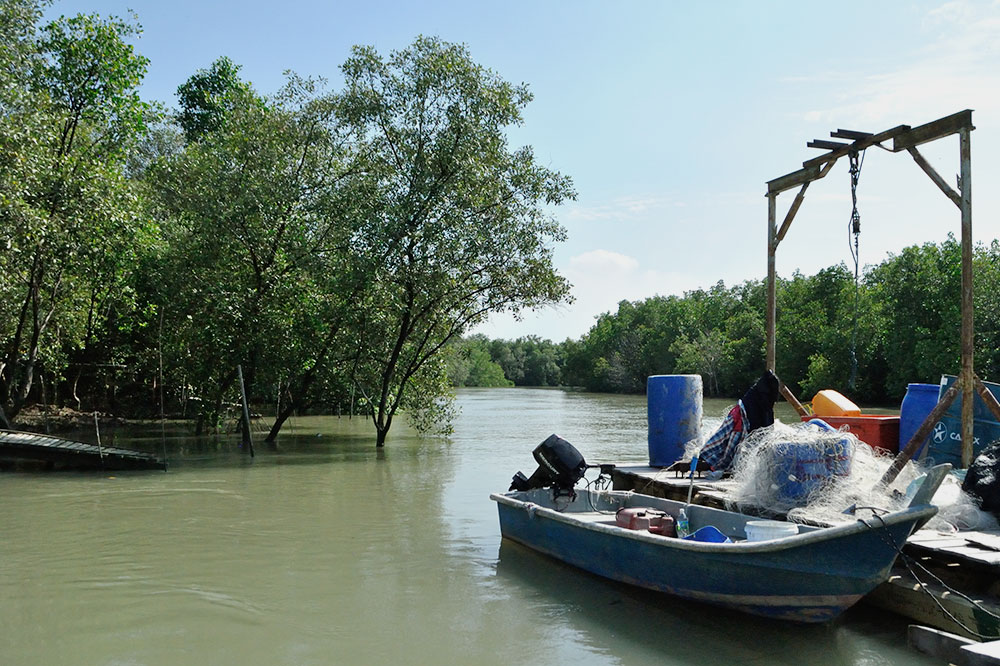 Fishing boat and mangrove trees