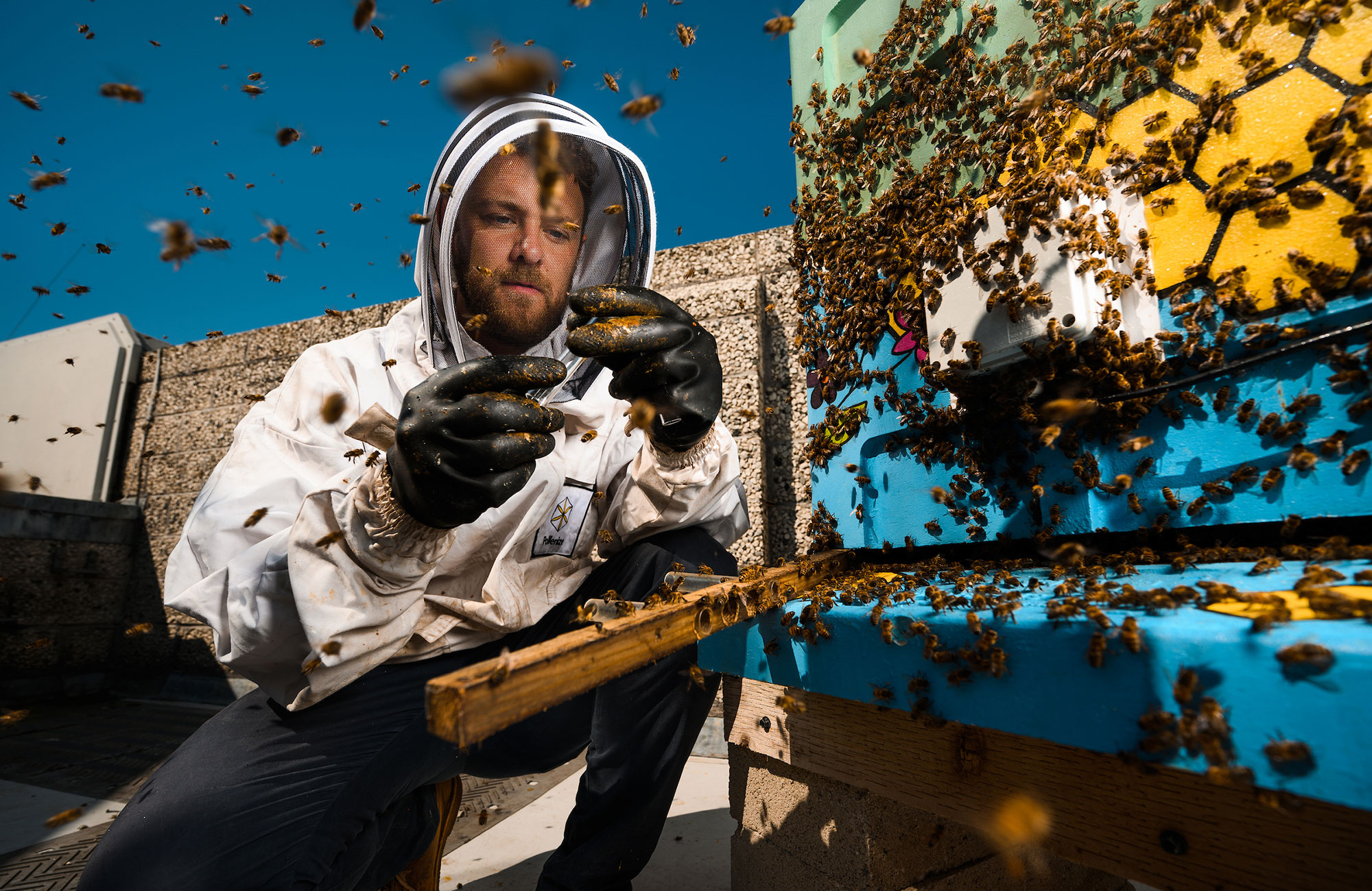 Beekeeper and hives