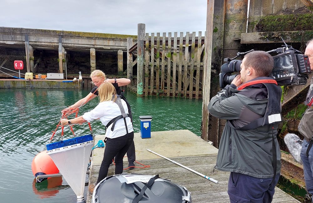 Article Prof Pennie Lindeque and Dr Rachel Coppock were filmed by a local news programme demonstrating how they are researching a nature-based solution to filtering microplastics using Mussels.