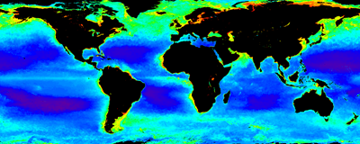 MODIS annual chlorophyll in 2014. Image courtesy of NEODAAS