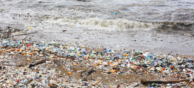 Plastic litter on the beach