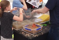 Second tank demonstrating sediment types in relation to salt marshes Children using a tank to demonstrate flood defences using sand