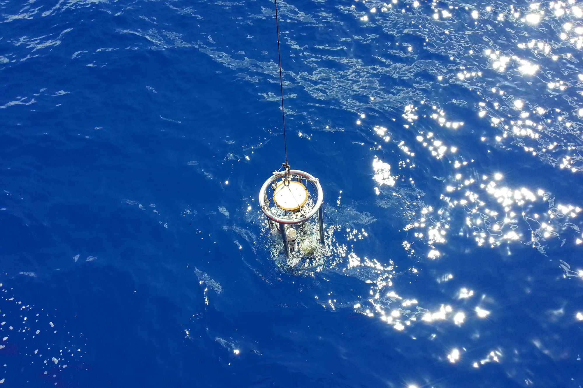 Secchi disk being lowered into sea