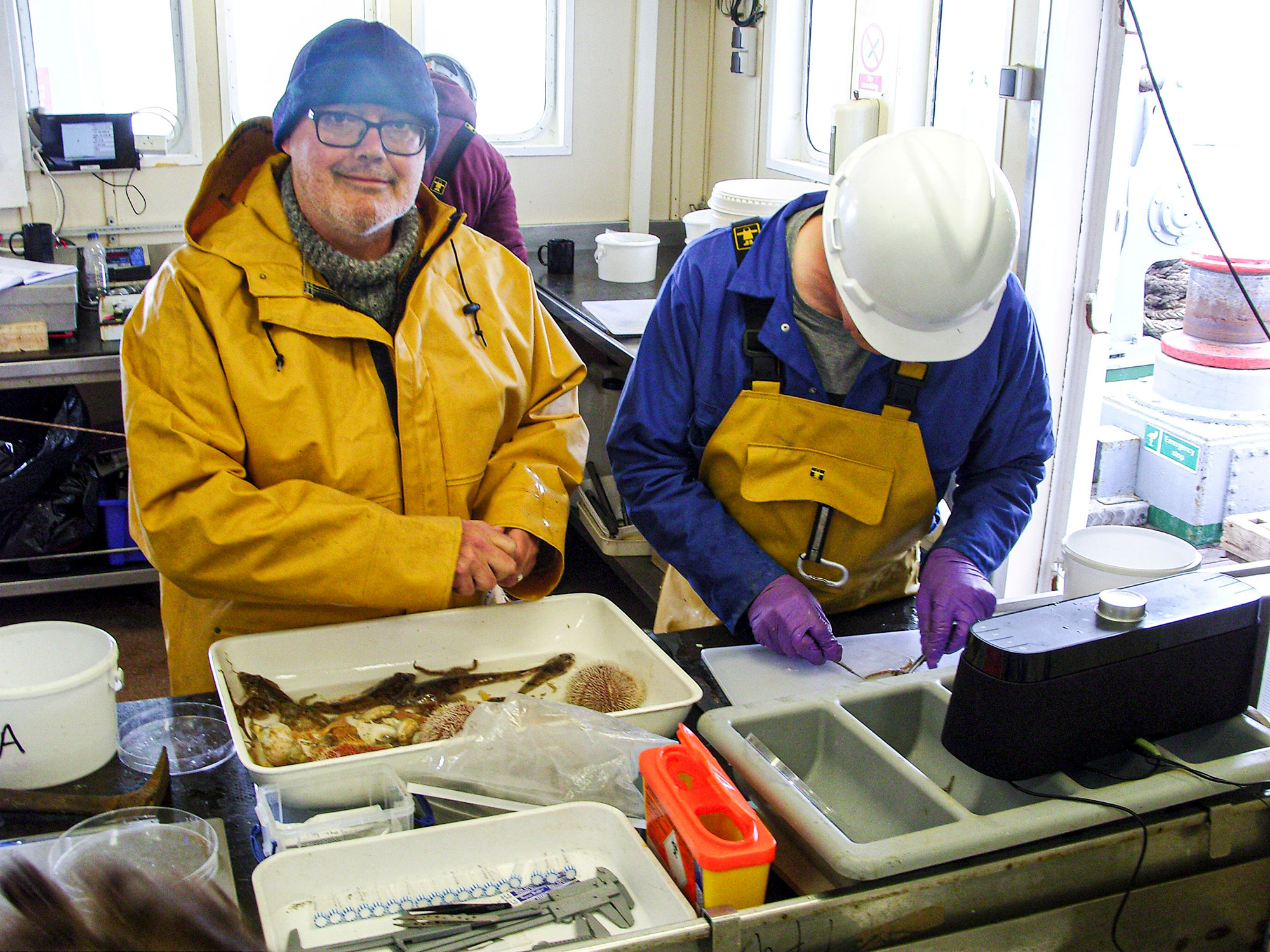 Paul Somerfield analysiing fish samples