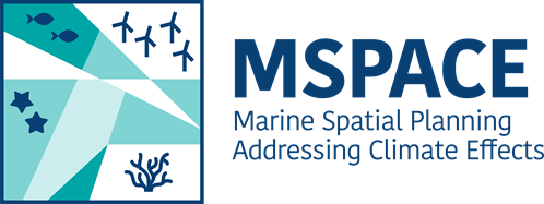 MSPACE logo with icon depicting fish, wind turbines, stars and seaweed