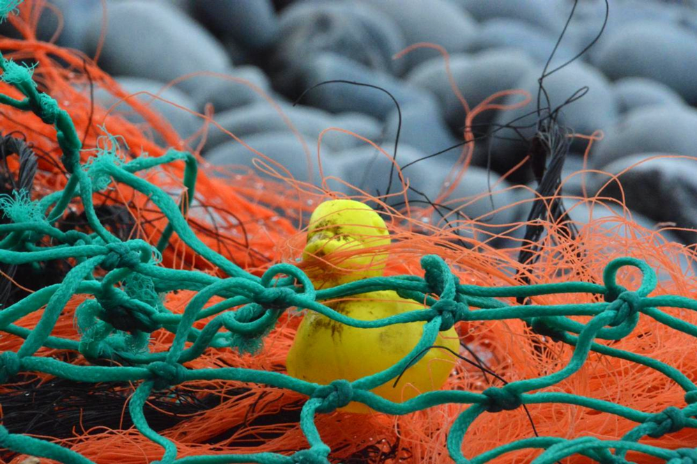 plastic duck and net on beach